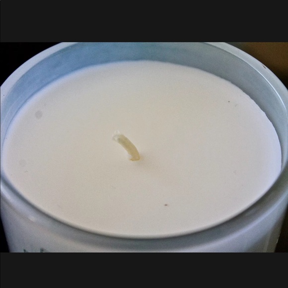 DW HOME CANDLE WINTER MINT RICHLY SCENTED - Picture 2 of 3